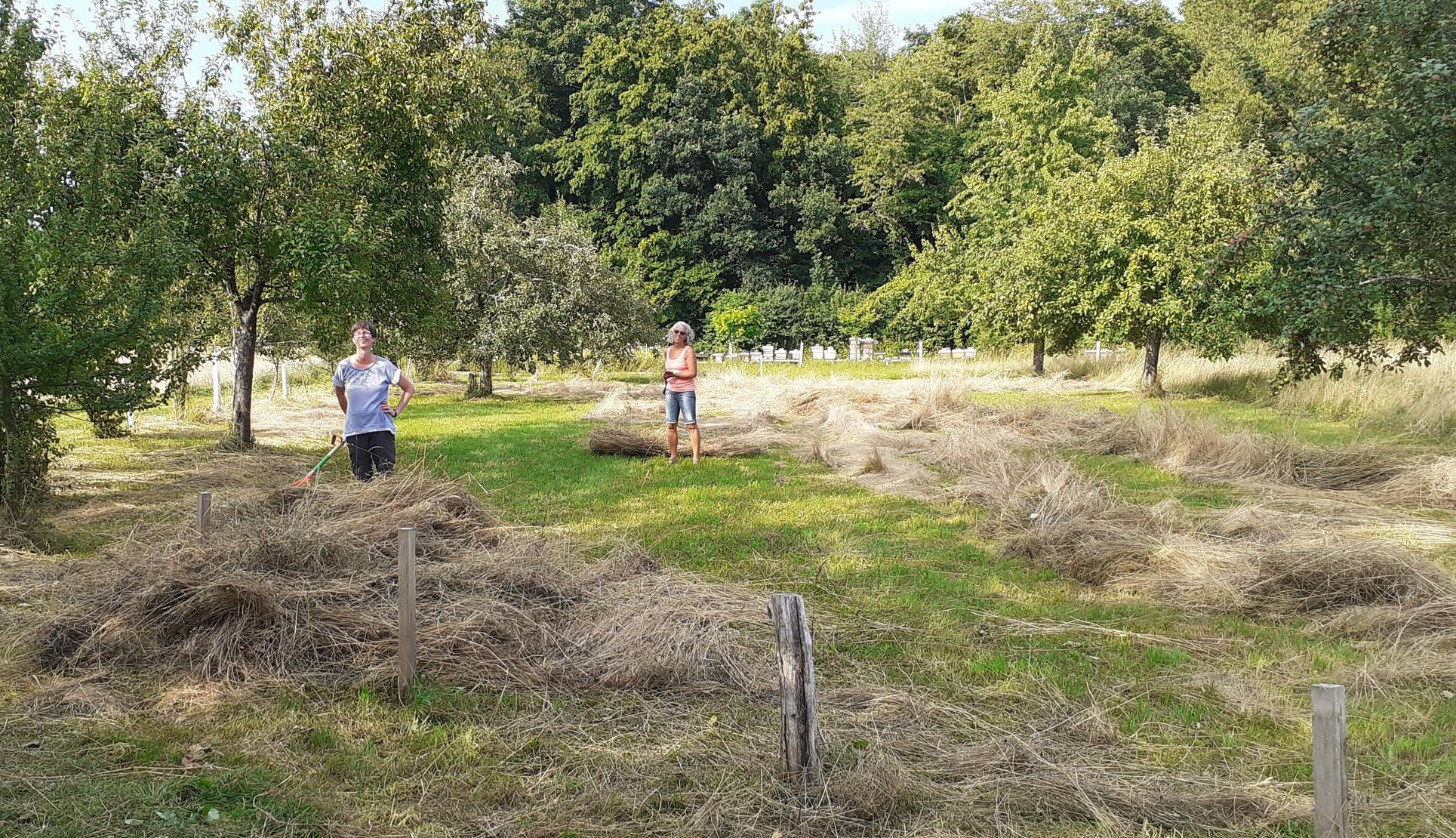 Streuobstwiese Forstinning-Heuernte 2020-Christine und Regina-BUND Naturschutz Ebersberg