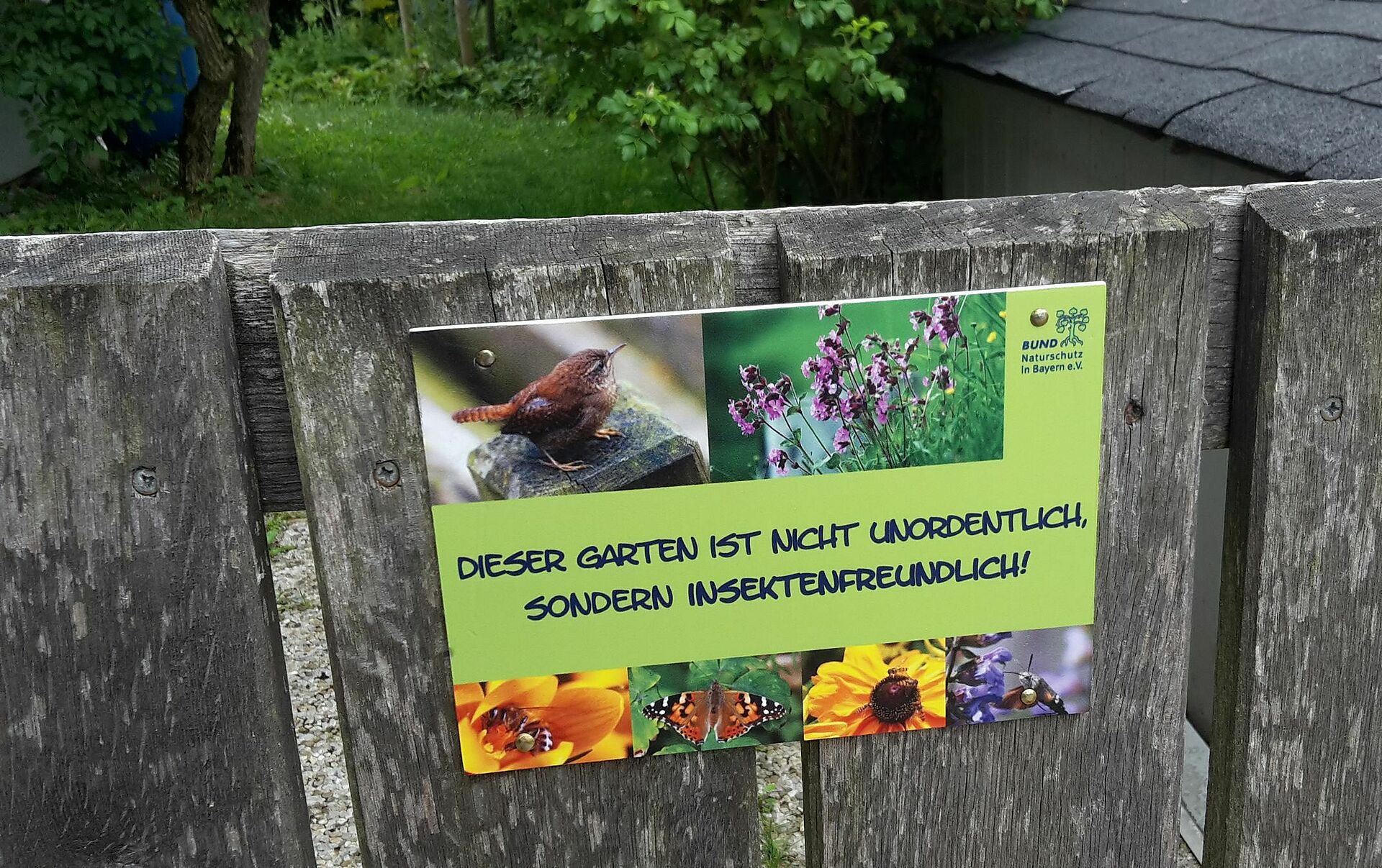 Dieser Garten ist nicht unordentlich, sondern insektenfreundlich! - BUND Naturschutz in Bayern e.V.