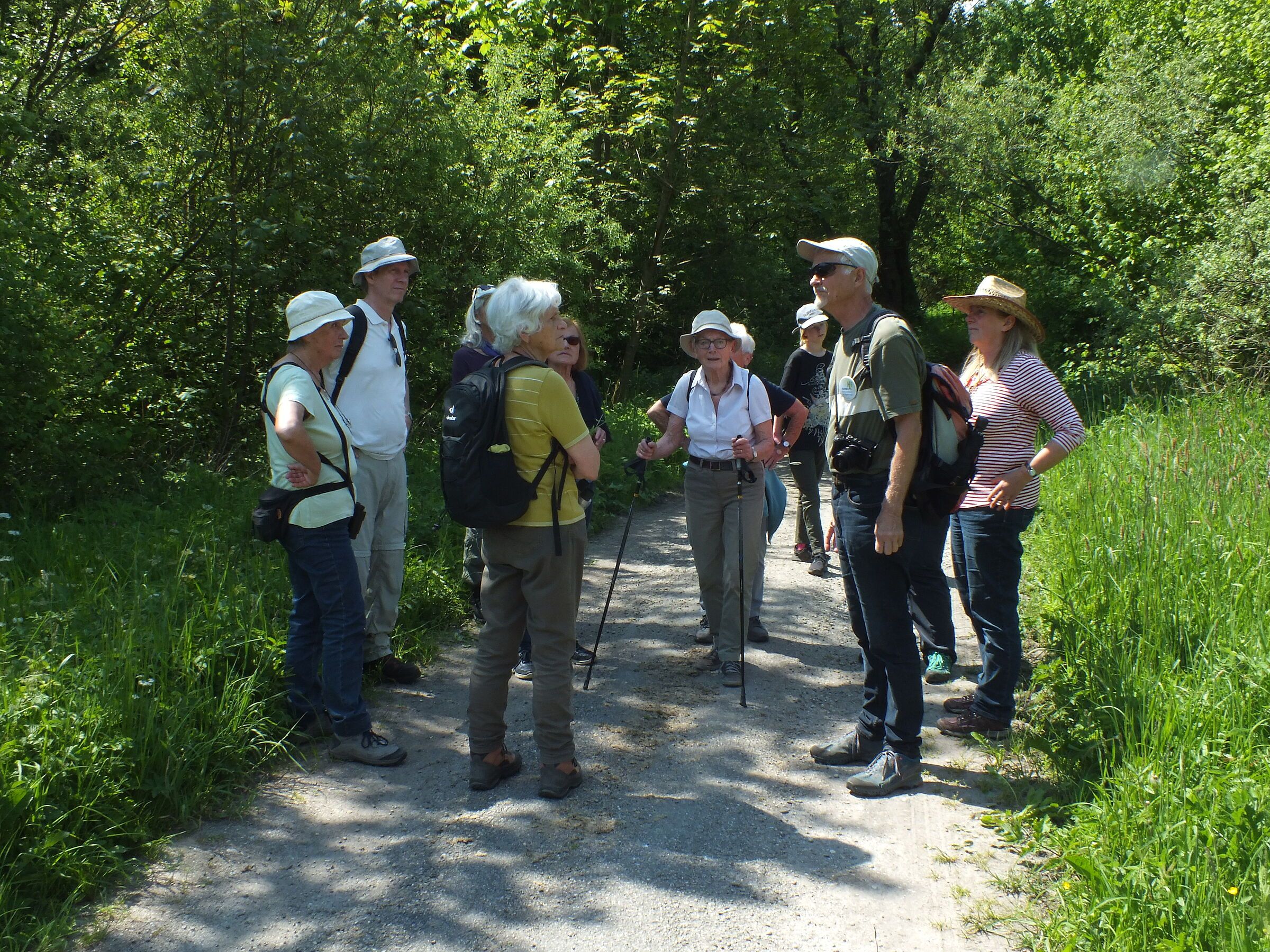 20210603_Führung zu Gutterstätter Wiesen und Tuffsteinbruch-Foto: Brigitte Merz 20210603_Führung zu Gutterstätter Wiesen und Tuffsteinbruch-Foto: Brigitte Merz