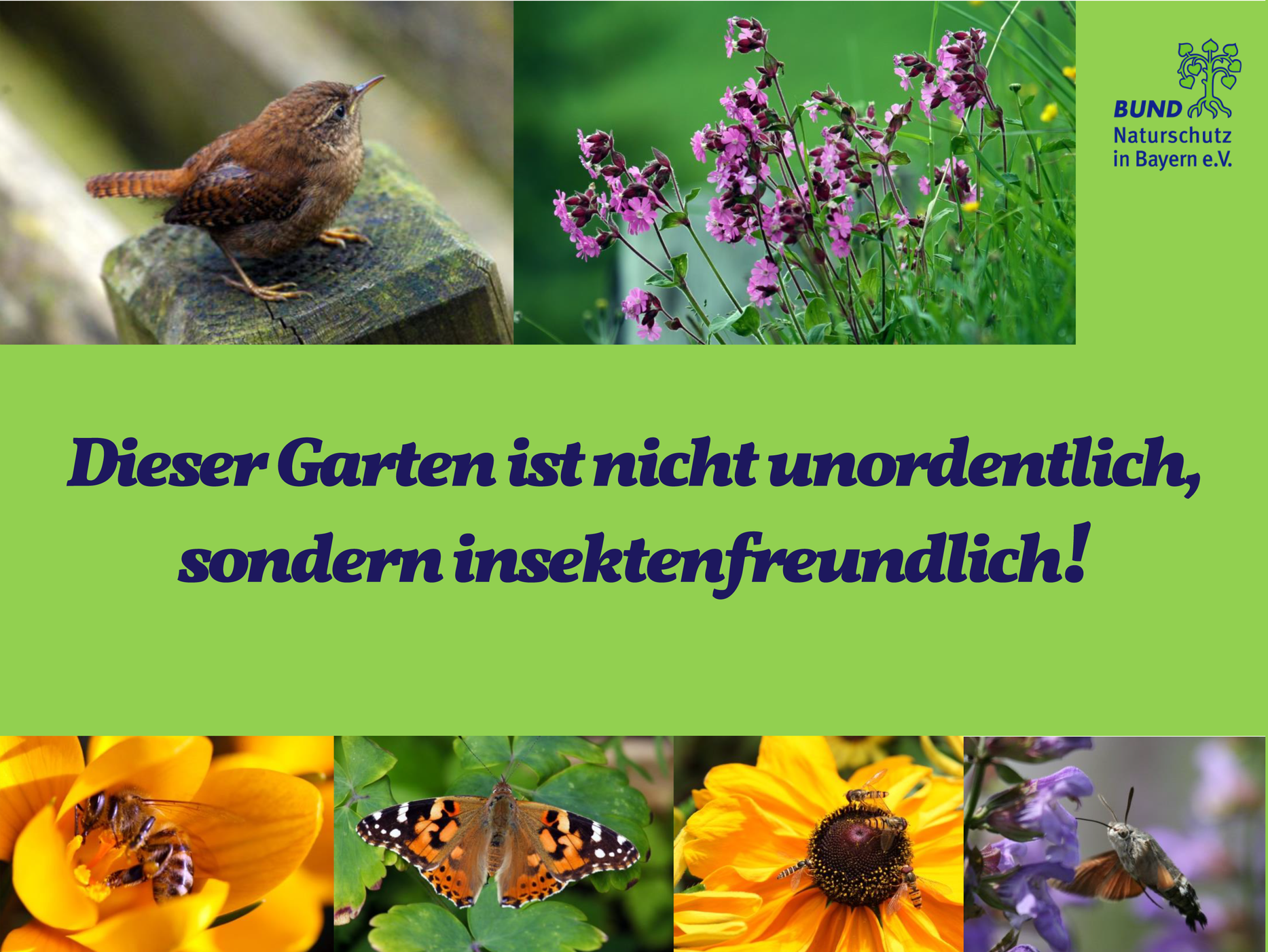 Gartenschilder Dieser Garten ist nicht unordentlich, sondern