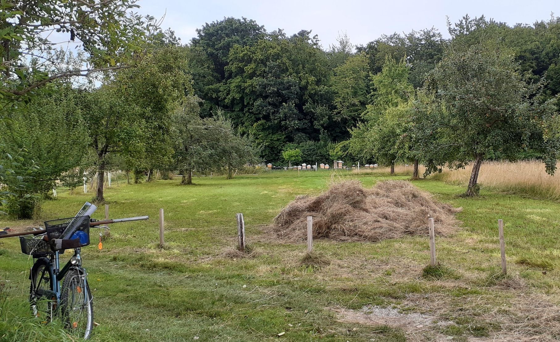 Streuobstwiese Forstinning-Heuernte 2020-Idylle mit Rad-BUND Naturschutz Ebersberg
