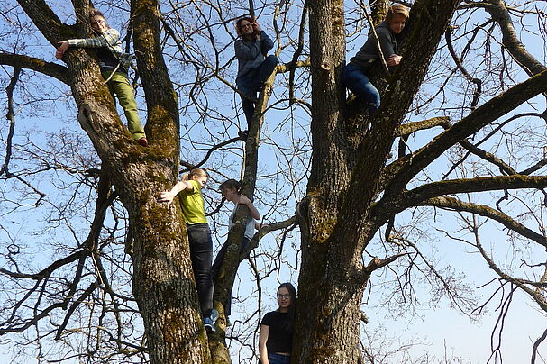 BN-Jugendliche in den Bäumen - Foto: BUND Naturschutz Grafing, Astrid Geweke.JPG