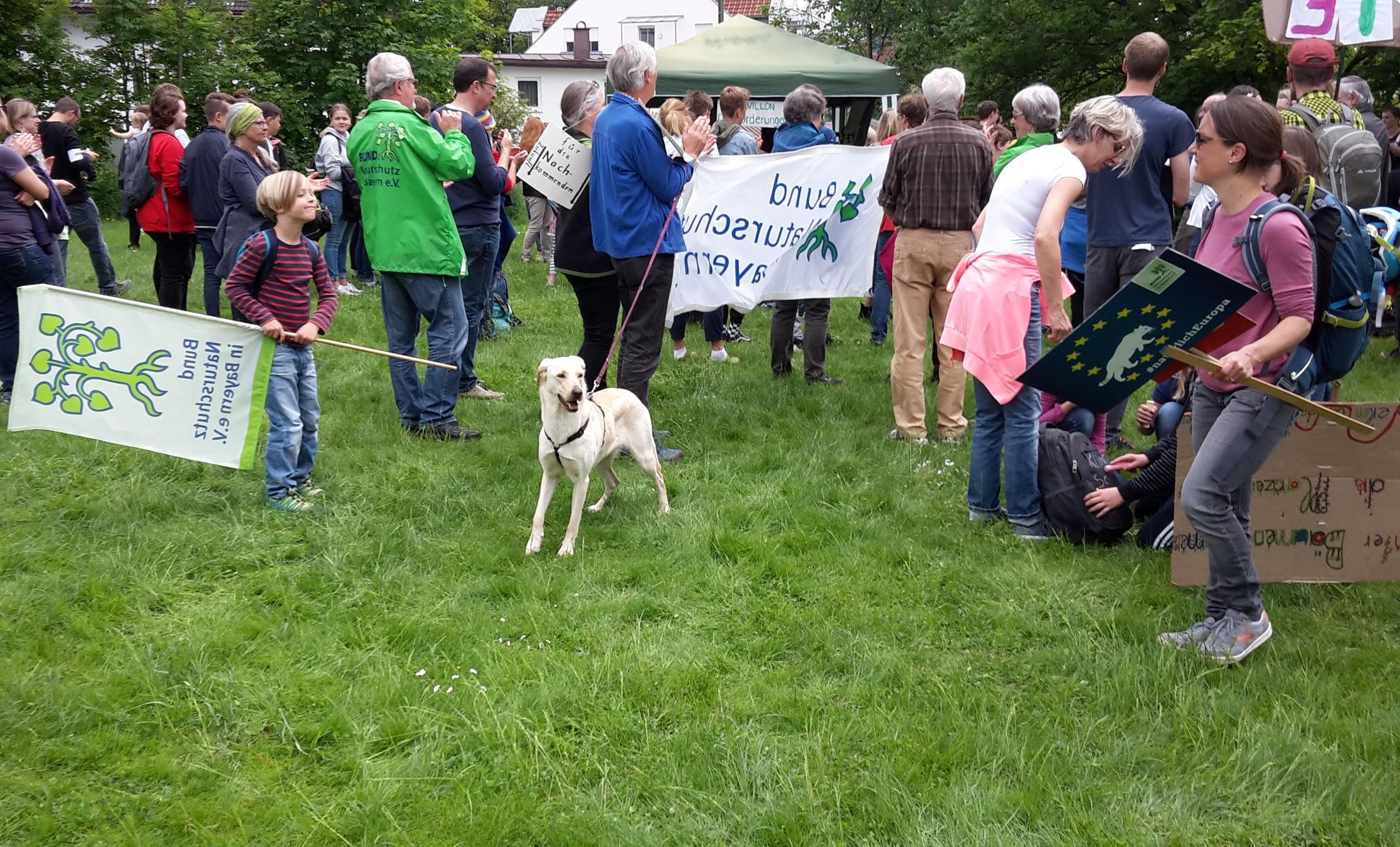 Bund Naturschutz FFF-Demo Grafing