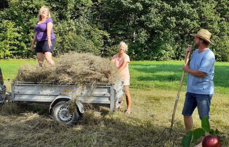 Streuobstwiese Forstinning-Heuernte 2020-Etwas mehr Ernst, bitte!-BUND Naturschutz Ebersberg