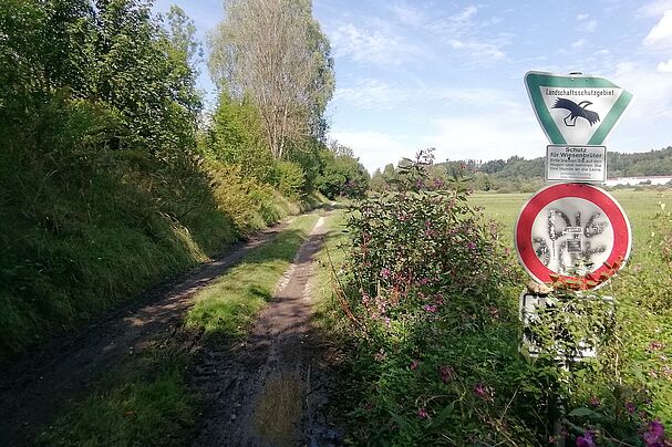 Alter Bahndamm Moosach / Glonn soll Wildnis bleiben Foto2: BUND Naturschutz Ebersberg