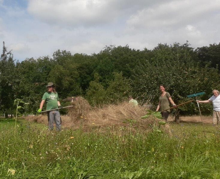Streuobstwiese Forstinning-Heuernte 2020-Benni Wirth schwingt die Heugabel-BUND Naturschutz Ebersberg