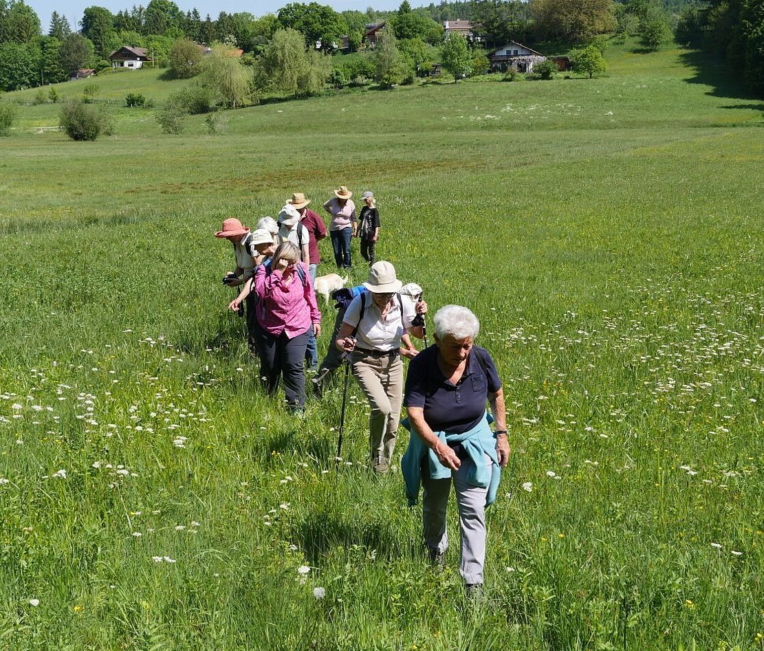 20210603 - Führung zur Gutterstätter Wiese und Tuffsteinbruch - Foto: BN 20210603 - Führung zur Gutterstätter Wiese und Tuffsteinbruch - Foto: BN