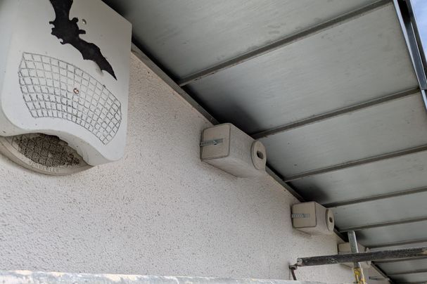 Brutkästen an der Wand, andere Blickrichtung - Foto Peter Fritsch