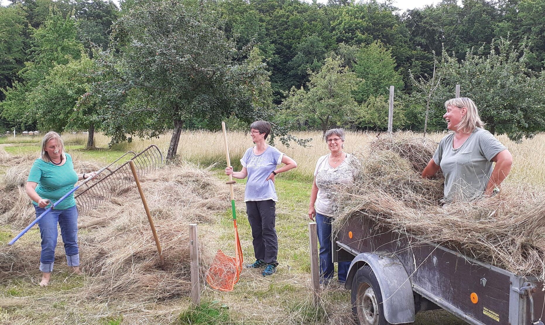 Streuobstwiese Forstinning-Heuernte 2020-Frauenpower-BUND Naturschutz Ebersberg