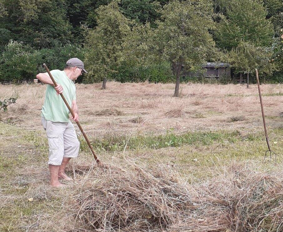 Streuobstwiese Forstinning-Heuernte 2020-Robert Greska-BUND Naturschutz Ebersberg