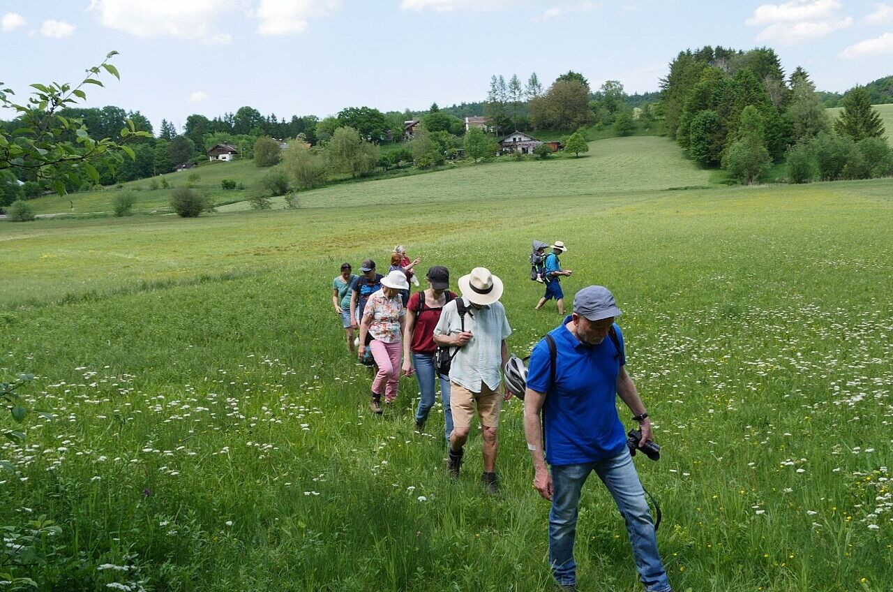 20210603 - Führung zur Gutterstätter Wiese und Tuffsteinbruch - Foto: Klaus Grünebach