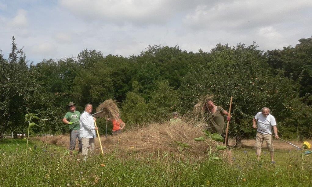 Streuobstwiese Forstinning-Heuernte 2020-Teamarbeit-BUND Naturschutz Ebersberg