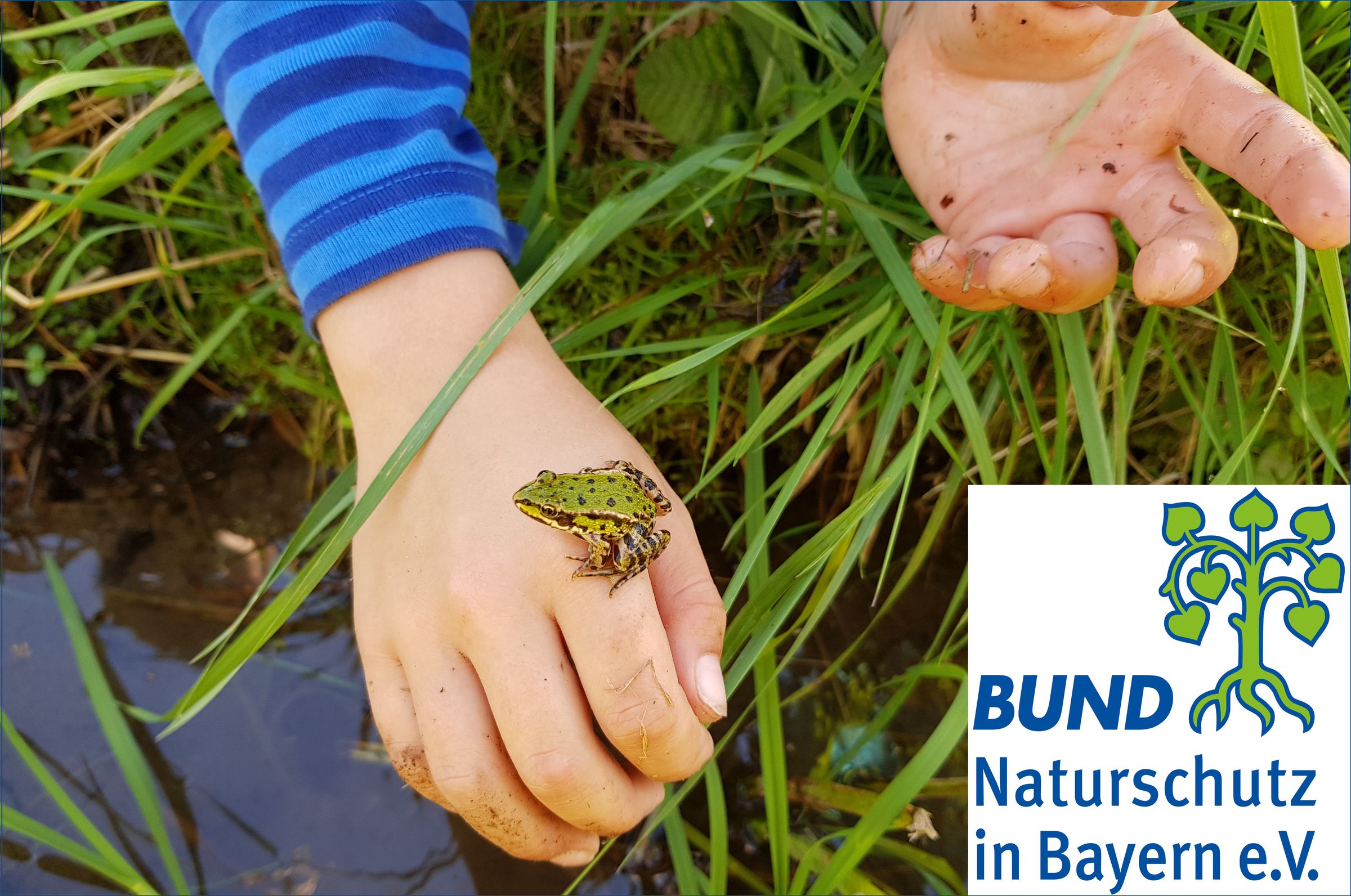 "Ebersberger Naturdetektive" - Kindergruppe des BUND Naturschutz Ebersberg