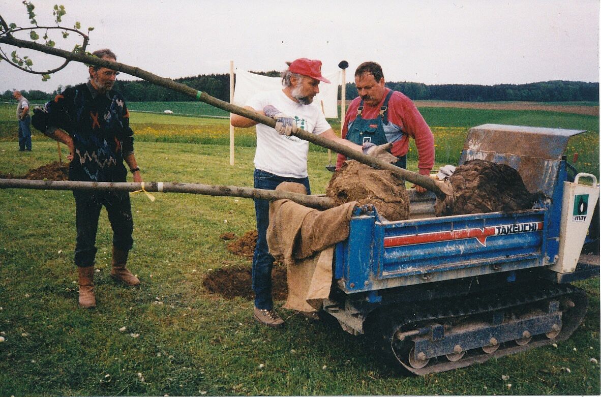 1999-Zum 25-jährigen Bestehen der Kreisgruppe Ebersberg des BUND Naturschutz wird in Hörmannsdorf westlich von Ebersberg der Lindenhain mit 25 Bäumen gepflanzt, bei der Arbeit Olaf Rautenberg