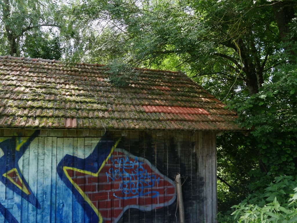 Reparatur Dach der BN-Hütte - Bund Naturschutz Ebersberg 
