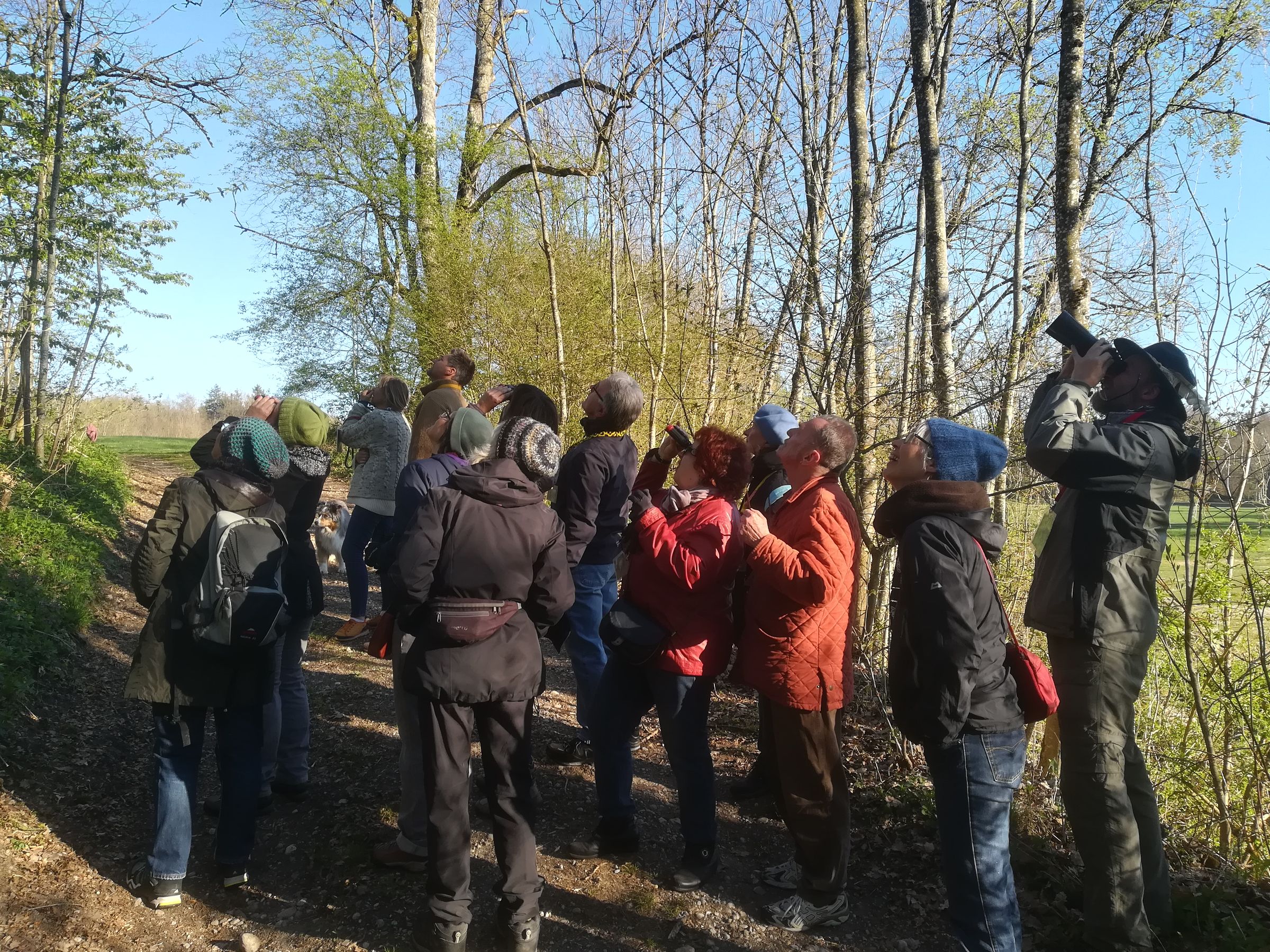 Vogelstimmen-Exkursion 20.04.2019 Foto von privat