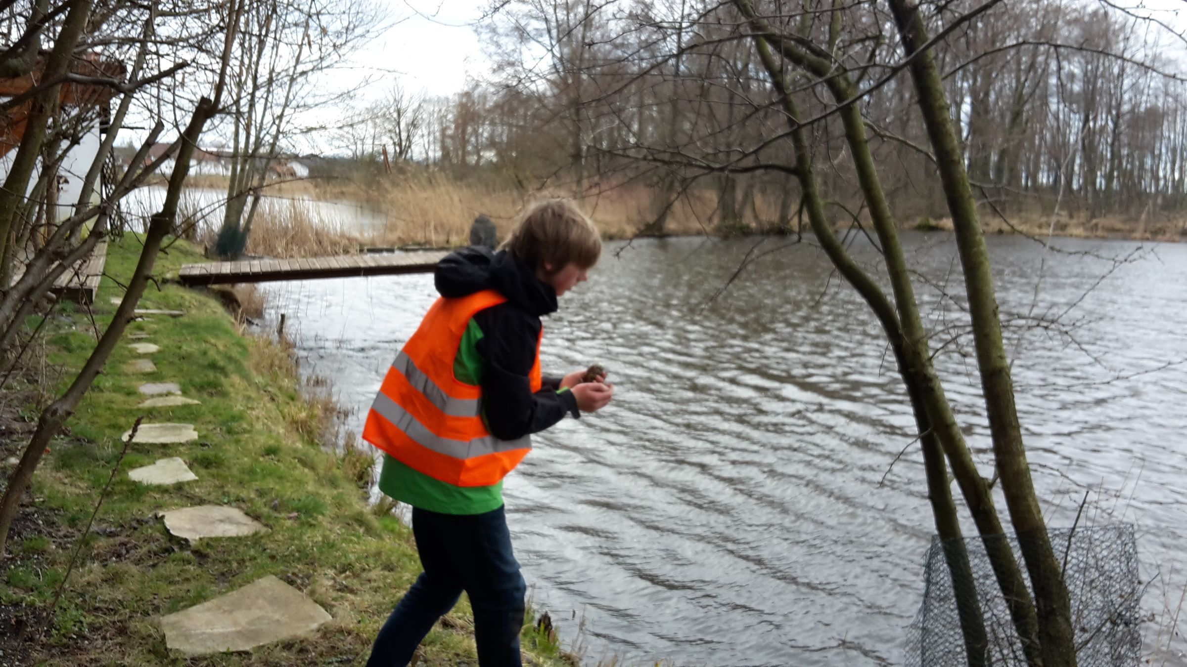 Krötenwanderung 2019 - BUND Naturschutz Ebersberg