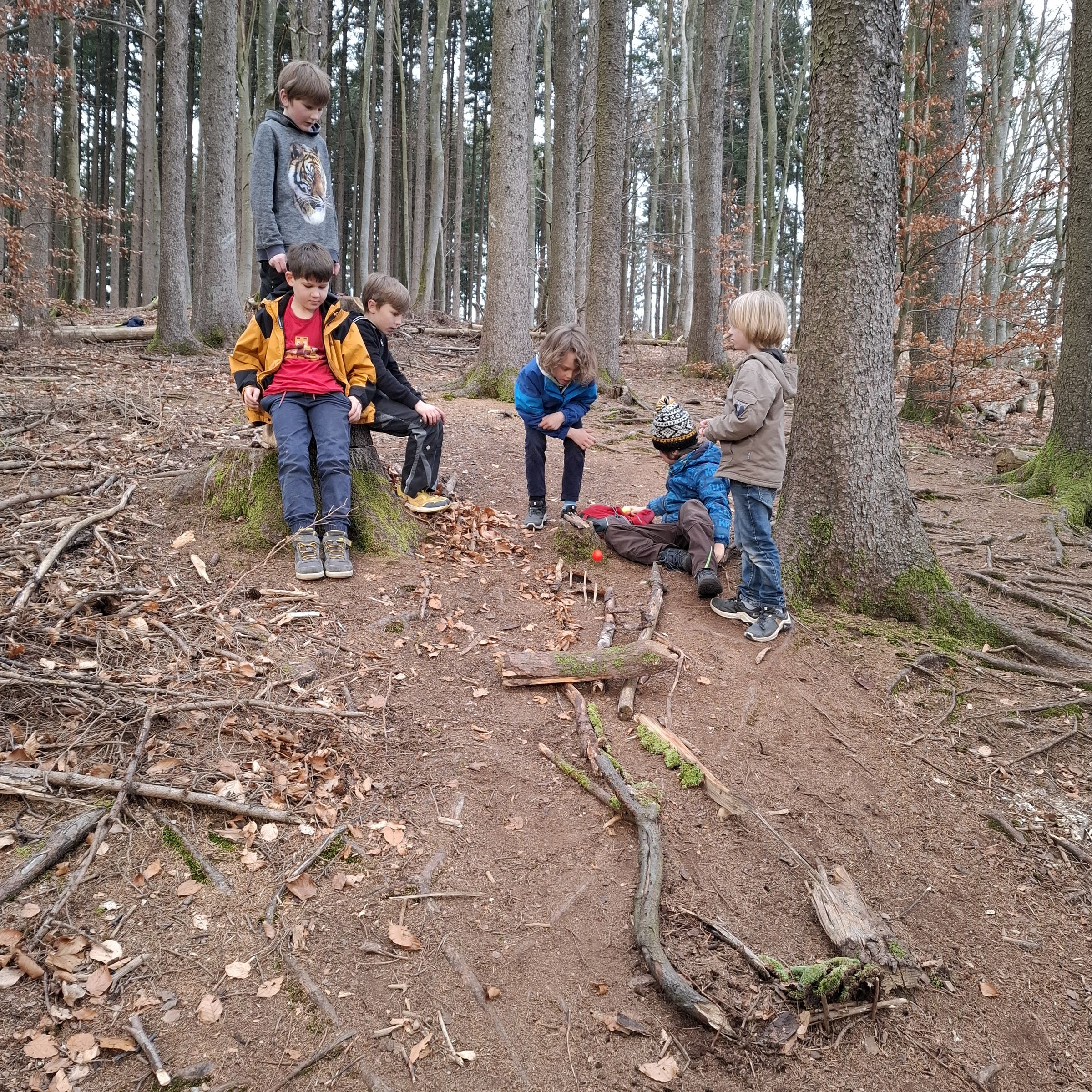 Mit Phantasie und Teamgeist entsteht mitten im Wald eine Murmelbahn aus Naturmaterialien. Foto: Sarah Arnold