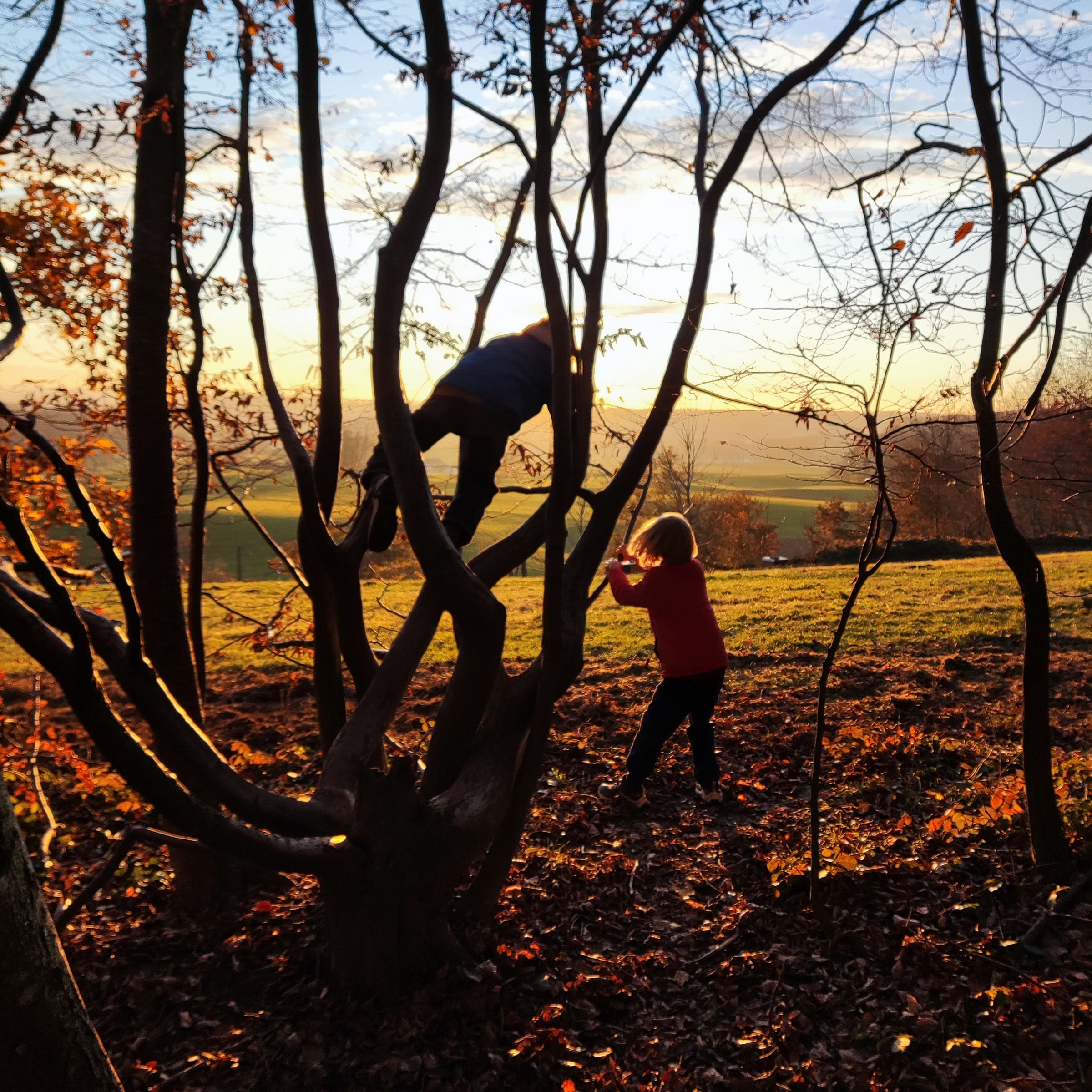 Wir genießen den goldenen Herbst – klettern, spielen und den Zauber dieser besonderen Jahreszeit erleben wir mit allen Sinnen. Foto Sarah Arnold