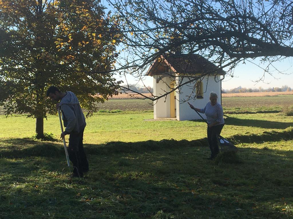 Beschauliches Arbeiten auf der Streuobstwiese in Forstinning