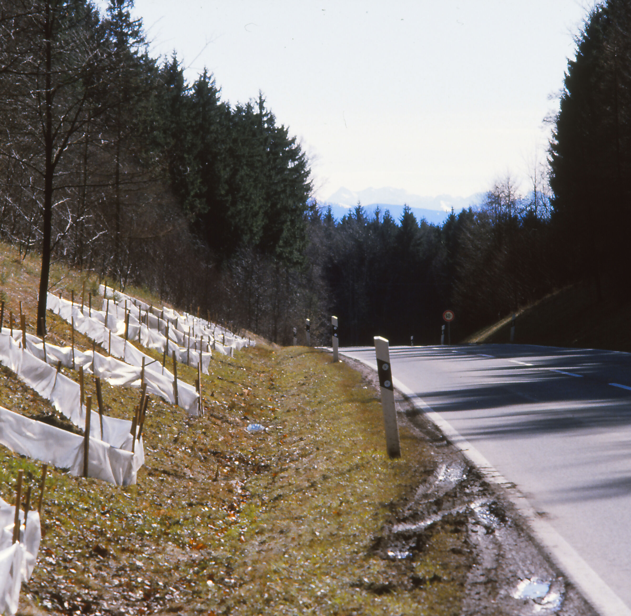 Historischer Krötenzaun 1984 Zinneberg bei Glonn Foto Walter Ismaier