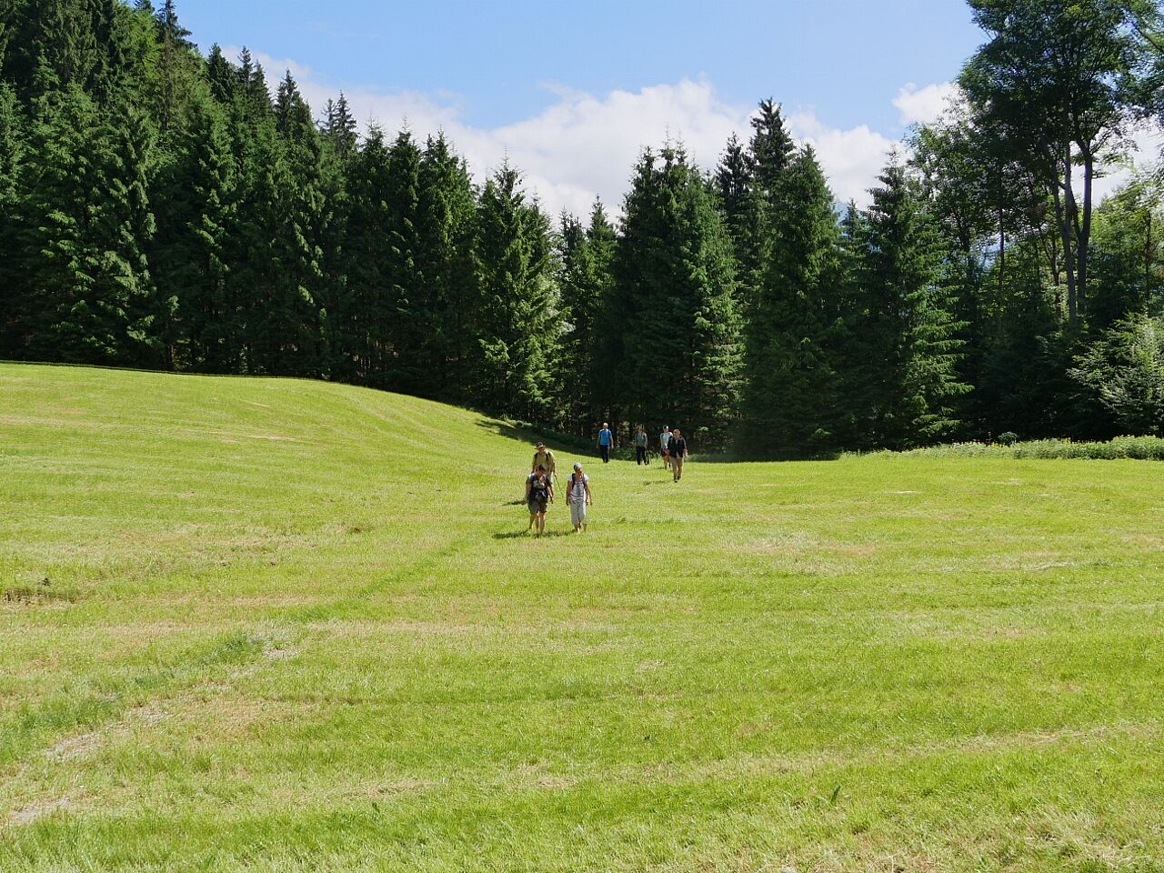 20210626 - BN-Tour zu den Feuerlilien am Rehleitenkopf - Foto: Klaus Grünebach