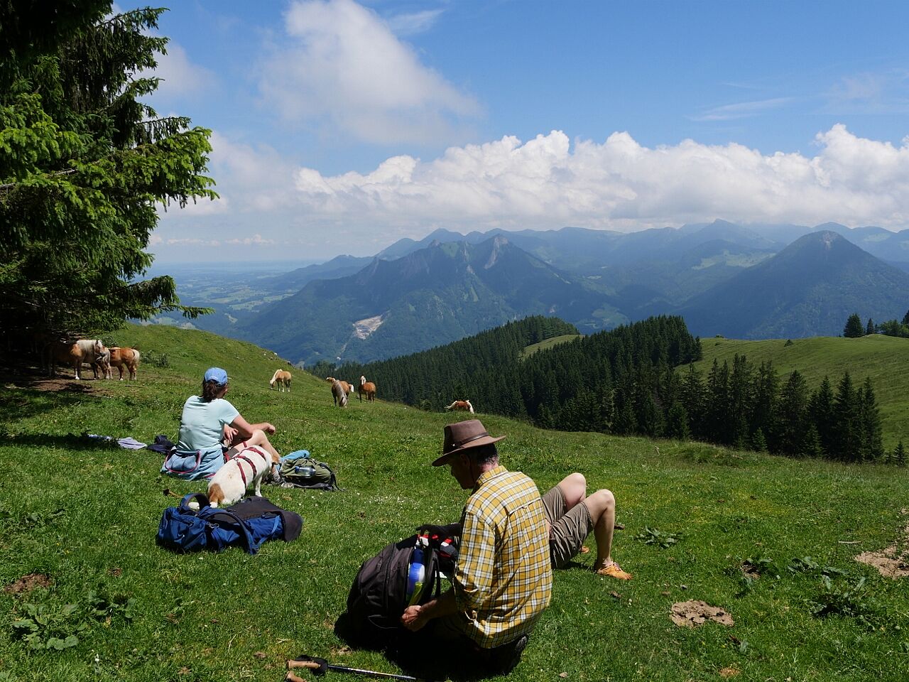 20210626 - BN-Tour zu den Feuerlilien am Rehleitenkopf - Wohlverdiente Pause - Foto: Klaus Grünebach