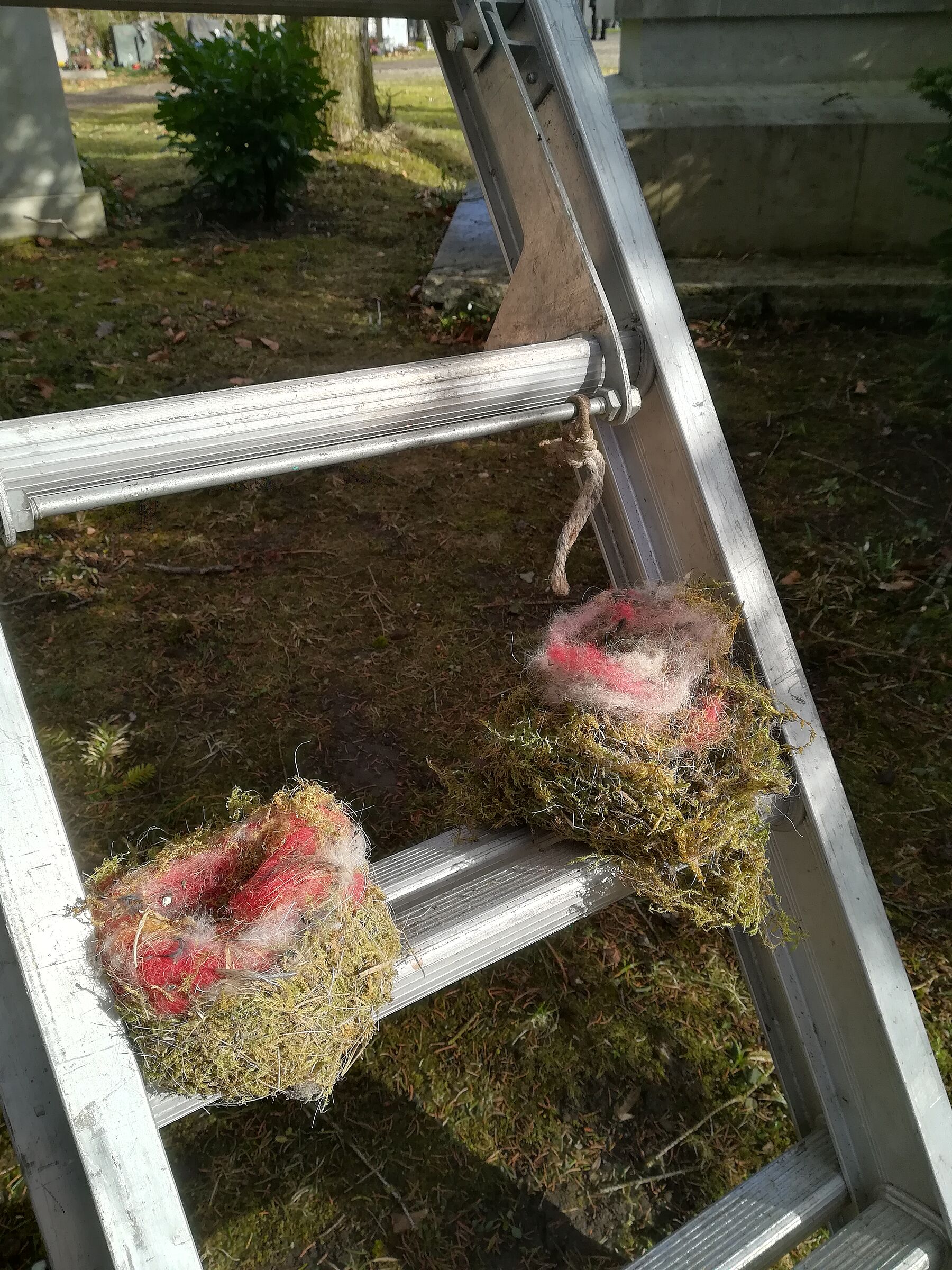 Bunte Fäden aus den Kranzgebinden der Gräber sorgen für eine farbenfrohe "Innenarchitektur" der Vogel-Wohnungen im Grafinger Waldfriedhof Foto: Marion Bauer-Hilt 