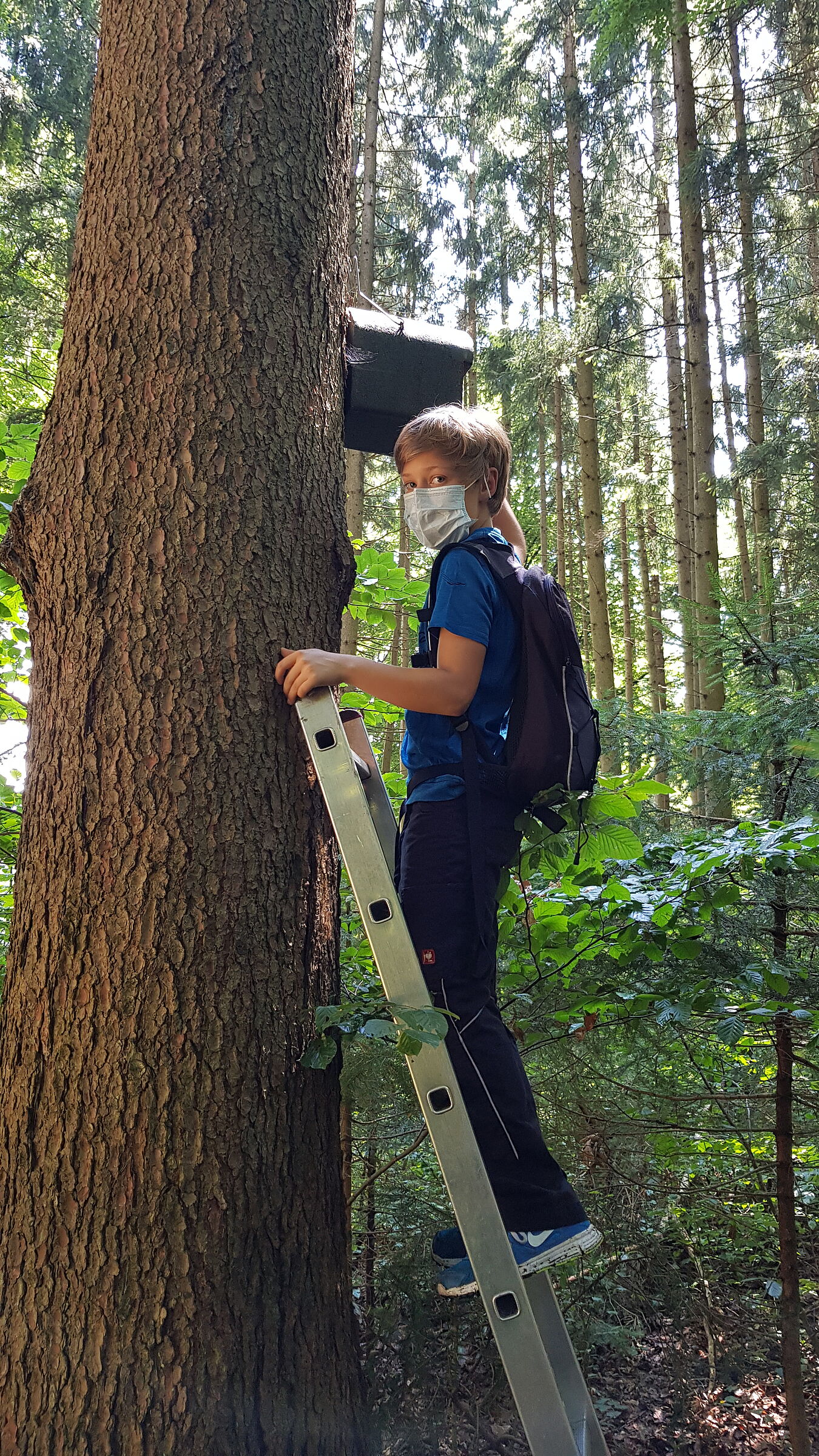 BUND Naturschutz - Ebersberger Naturdetektive - Wir kontrollieren Fledermauskästen mit einer Fledermausexpertin des BUND Naturschutz - 2021