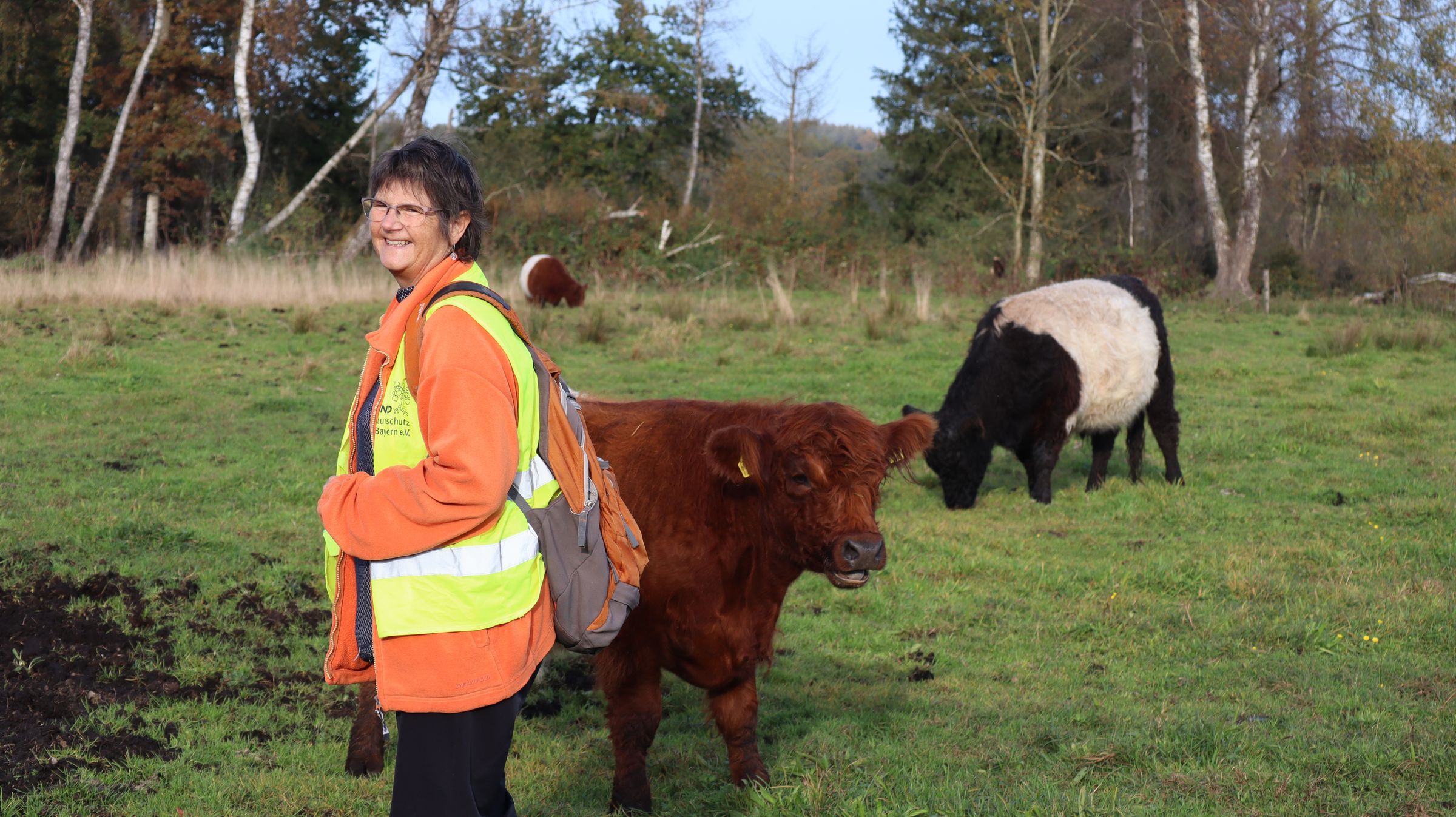 Beate Kiss, Vorsitzende der OG Kirchseeon bei den Galloway-Rindern im Brucker Moos