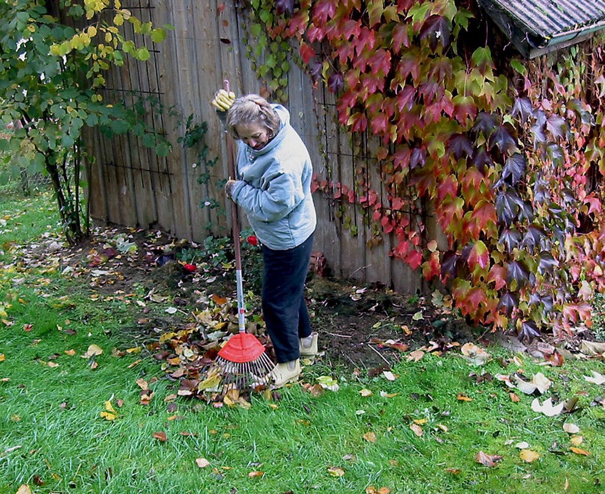 Herbstlaub_zusammenkehren_Foto: Rainer Sturm_pixelio.de