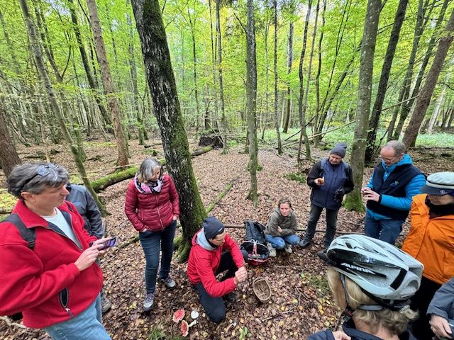 Gruppe der Pilz-Exkursion
