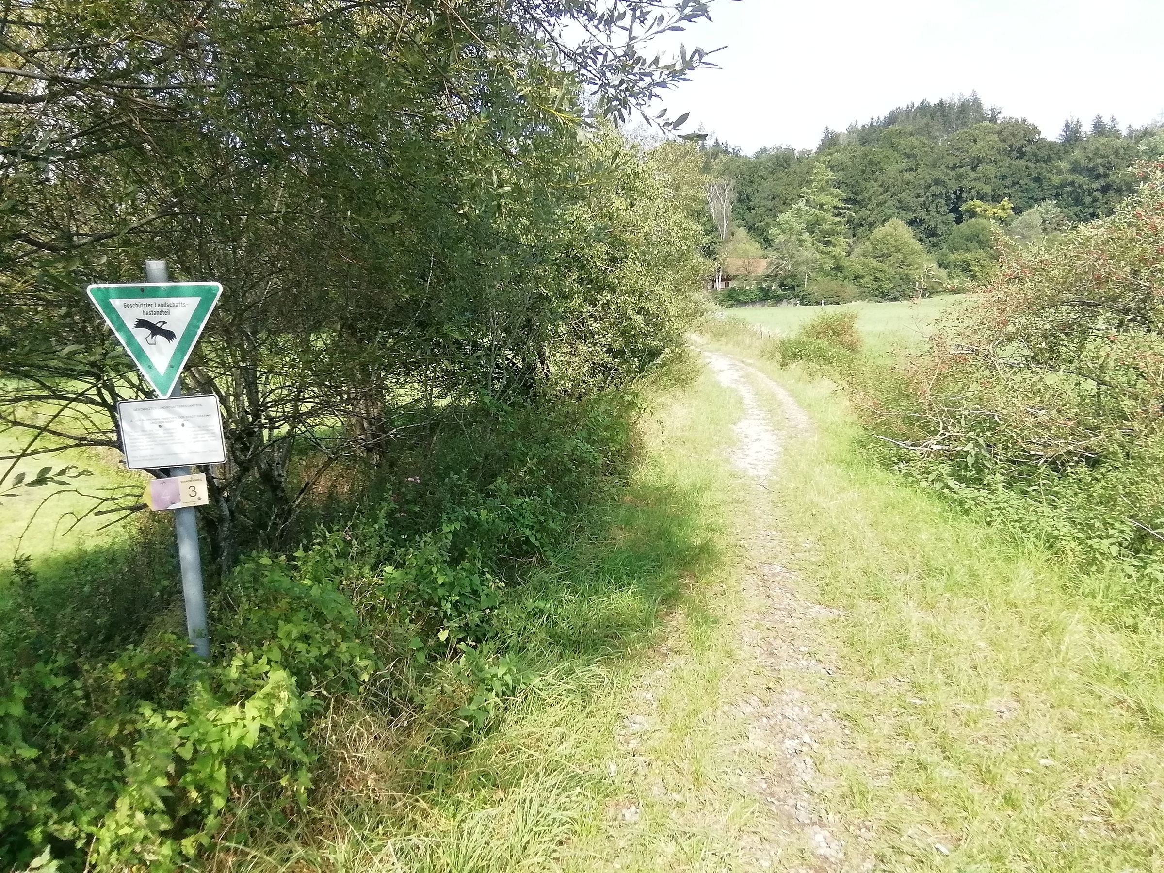 Alter Bahndamm Moosach / Glonn soll Wildnis bleiben Foto1: BUND Naturschutz Ebersberg