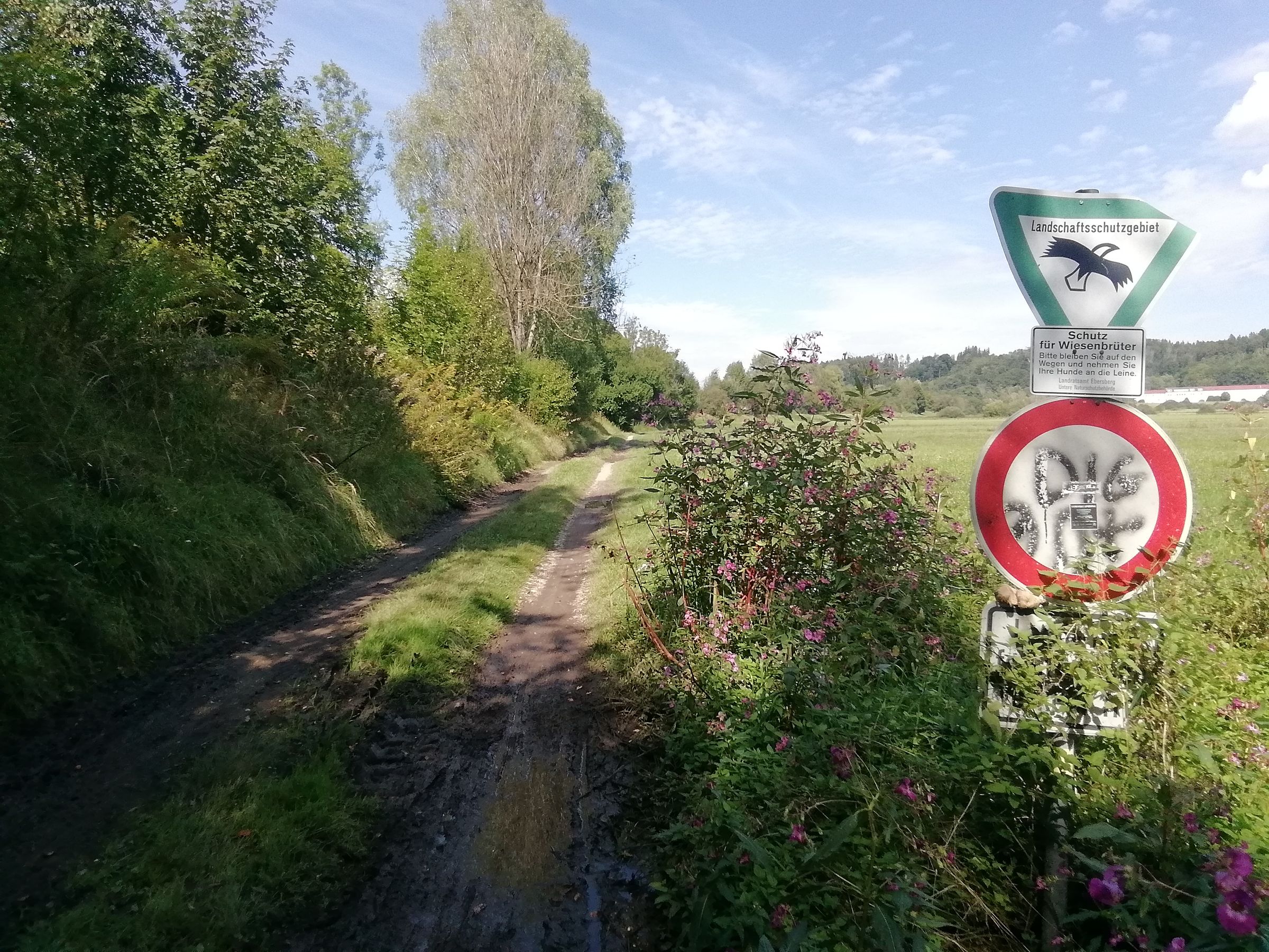 Alter Bahndamm Moosach / Glonn soll Wildnis bleiben Foto2: BUND Naturschutz Ebersberg